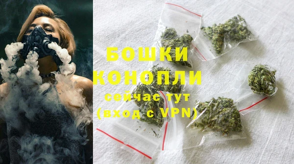 дурь Переславль-Залесский