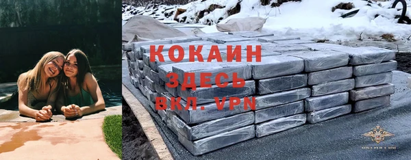 бошки Покачи
