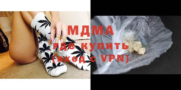 прущие грибы Гатчина